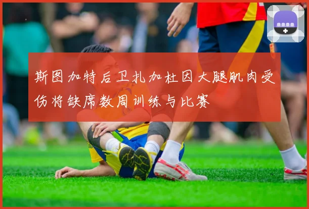 斯图加特后卫扎加杜因大腿肌肉受伤将缺席数周训练与比赛
