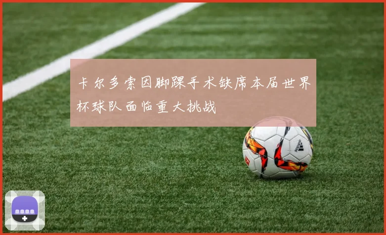 卡尔多索因脚踝手术缺席本届世界杯球队面临重大挑战